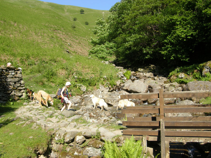 Grasmere